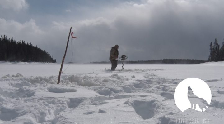 L’Appel de la Forêt – Pêche blanche au réservoir Gouin