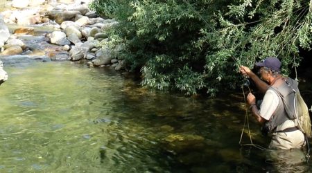 Pêche à la mouche en Lozère