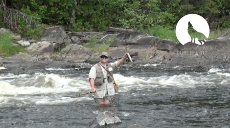 L’Appel de la Forêt – Truite et brochet au Mitchinamecus