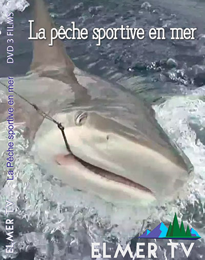 Les voitures sur la glace sur la pêche