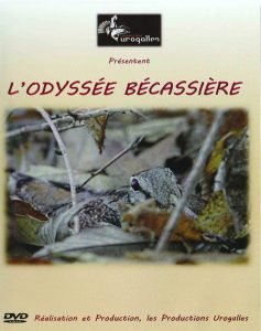 L’odyssée bécassière