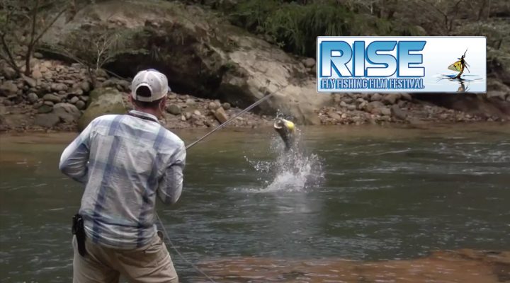 Rise Film Festival, la pêche à la mouche sur grand écran