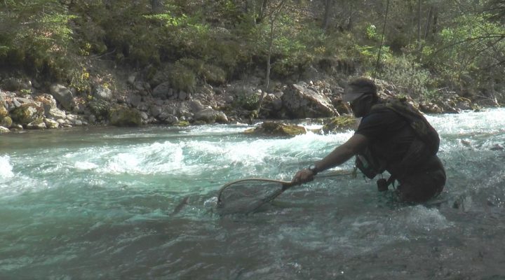 Les frères moucheurs prennent de la hauteur