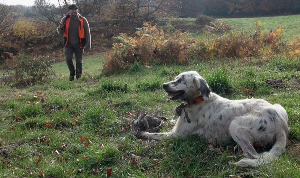 Chasse à la plume